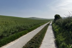 IMG_0259-Grande